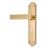 "Joash" Brass Door Handle with Plate 